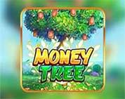 MONEY TREE 5G